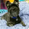 Doris Leung - @30742929169 - TikTok