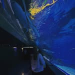 Doris Leung - @dordor.0411 - Instagram