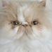 Doris Levesque - Facebook