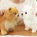 Doris Liang - Facebook