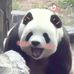 Doris Liang - Facebook