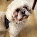 Doris Lowe - @dorislowe119 - Instagram