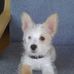 Doris Lundgren - Facebook