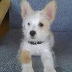 Doris Lundgren - @lundgrendoris - Instagram