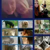 Doris Luiser - @dorismeinekatzenvideos - TikTok