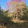 Doris Macedo - @doris.macedo1 - TikTok