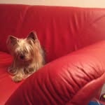 Doris Macena - @doris.macena.9 - Instagram