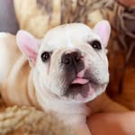 Doris Mae - @doris.mae.b - Instagram