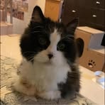 Doris Mak - Facebook