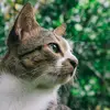 cadby.aleta - @marion.doris.65936 - TikTok