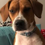Doris Markham - @dorismarkhamarf322 - Instagram