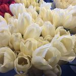 Doris Marsh - @dmarsh8791 - Instagram