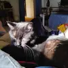Doris Marvin - @doris.marvin - TikTok