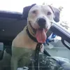 Doris mcclary - @doris.mcclary - TikTok