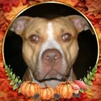 Doris Mccool - Facebook