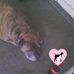 Doris Mccune - Facebook