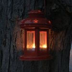 Doris McDonnell - @friendswiththesparrows - Instagram