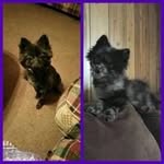 Doris McDougal Robb - @robbdoris - Instagram