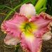 Doris McDuffie - Facebook