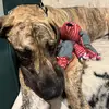 SaddleDownPeople - @dori.rath - TikTok