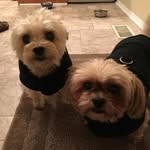 Doris Curd McGregor - @doris.curdmcgregor - Instagram