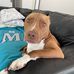 Doris Arianna McHenry - Facebook