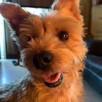 Doris McIntire - Facebook