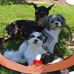 Doris McKeever - Facebook