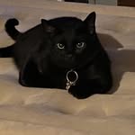 Doris Mcknight - @dorismcknight61 - Instagram