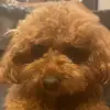 Doris.Mcknight - @wbasheaiowo - TikTok