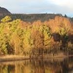 Doris McLean - @mcleandor - Instagram