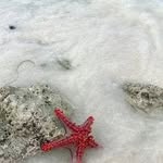 Doris Mcnally - @doris.mcnally.127 - Instagram