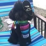 Doris Medley - @medleydoris - Instagram