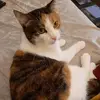 Dori - @dorismeissner - TikTok