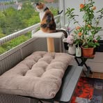 Doris Meißner - Facebook