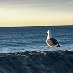 Doris Haber Mendel - Facebook