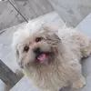 Doris Mendieta - @doris.mendieta69 - TikTok