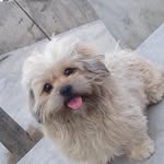 Doris Mendieta - @doris.mendieta.73 - Instagram