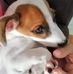 Flores Doris - Facebook