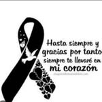 Doris Mamani Merlo - @dorismamanimerlo - Instagram