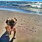 Doris Merlo - @octopkosz - Instagram