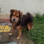 Doris Merlo - @merlo.doris - Instagram