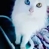 Doris Merlo - @dorismerlo - TikTok