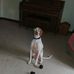 Doris Mertz - Facebook