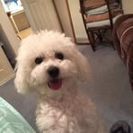 Doris Ellen Messenger - Facebook