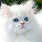 Doris Metts - Facebook