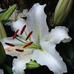 Doris M - @doris_metzner - Instagram