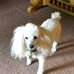 Doris Metz - Facebook