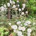 Doris Metz - Facebook