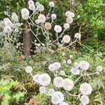 Doris Metz - @doris.metz.921 - Instagram